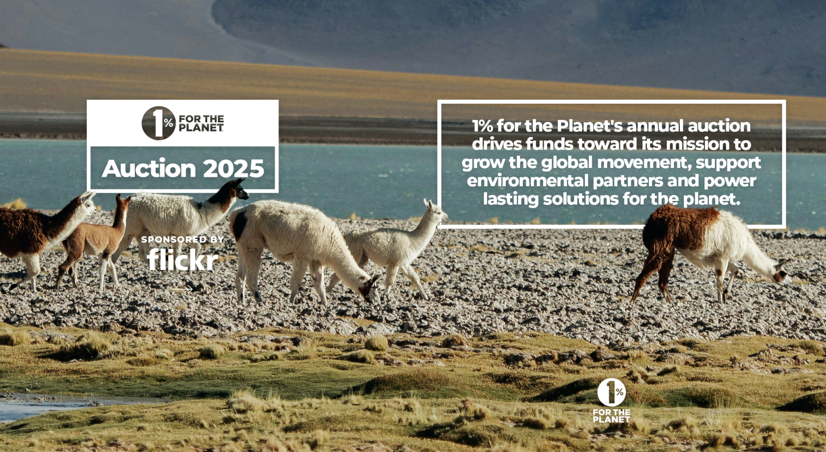 KakaoTalk_20260128_153928489